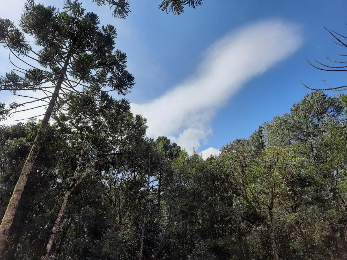 Pousada Bruxa Marela Monte Verde  Eksteriør bilde